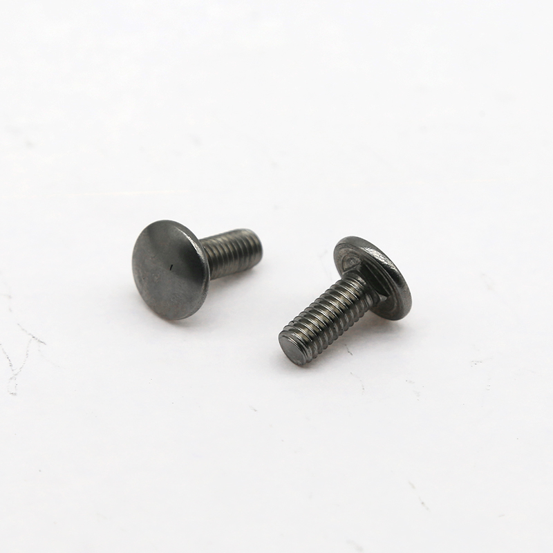 Болты кареты (5)